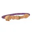 Digby and Fox Reflective Dog Collar in Purple